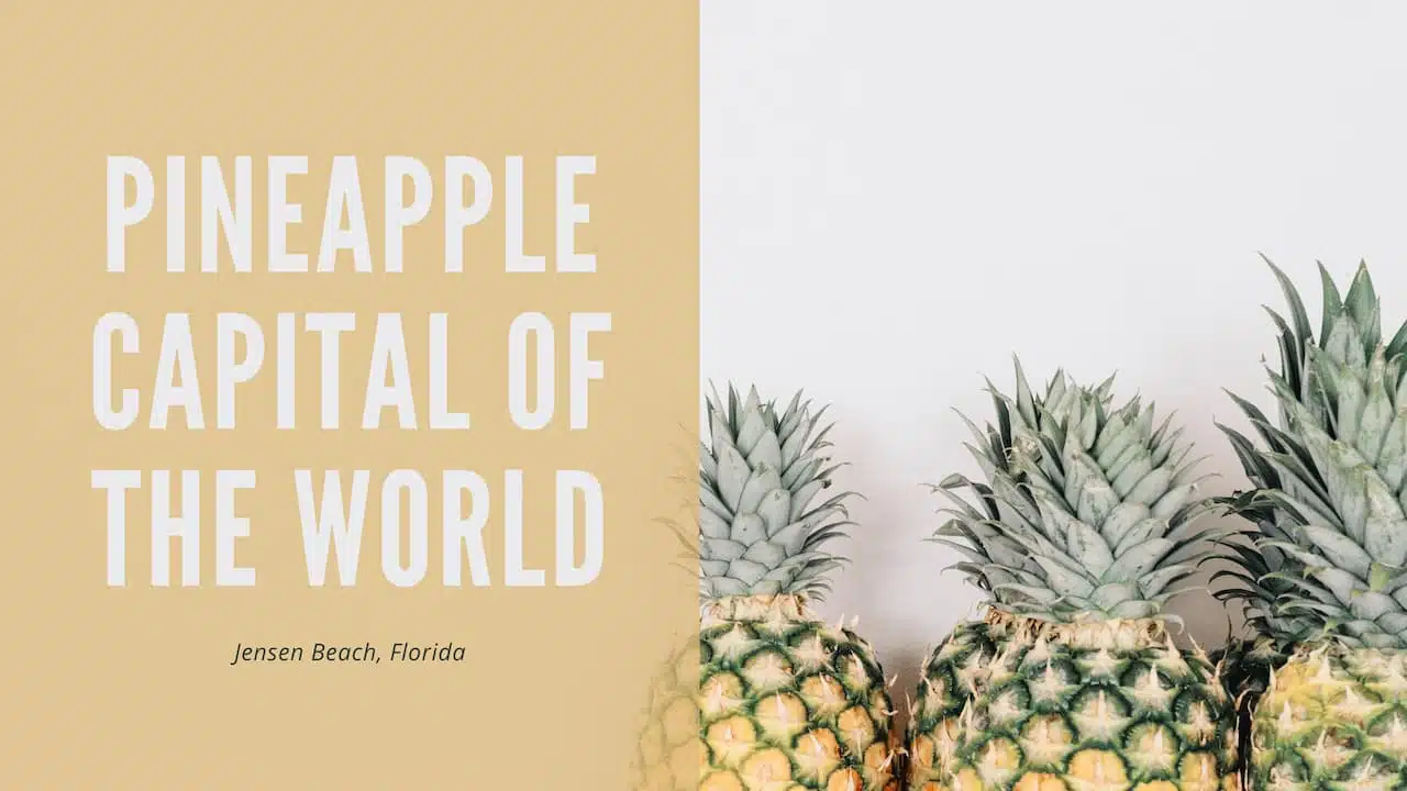 Pineapple Capital of the World - Jensen Beach, Florida Colorful image with the text 'Pineapple Capital of the World' on a background of pineapple illustrations, representing Jensen Beach which is known for its pineapple production.